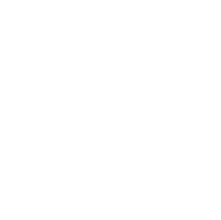 Pinchadiscos